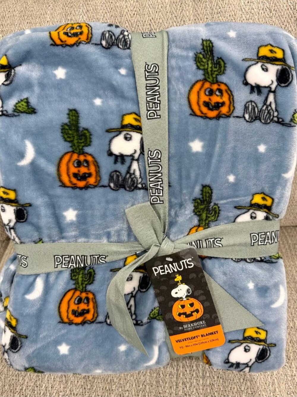 Peanuts Snoopy Big Brother Spike Halloween Cactus FULL/QUEEN Plush Blanket BN